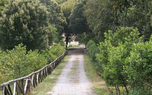 Sui Tetti Di Iglesias