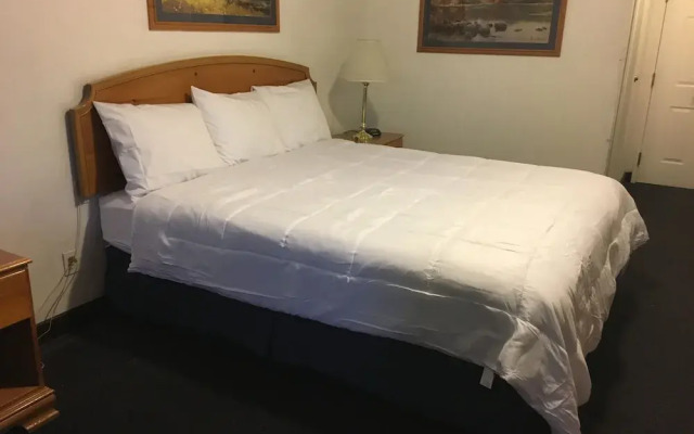 Traveler's Inn Carlin NV near Elko