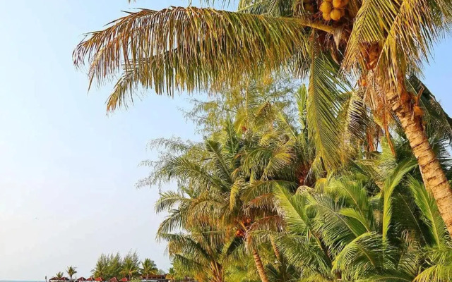Paradise Bungalows