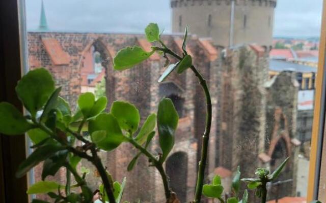 Apartment 3 Große Brüdergasse