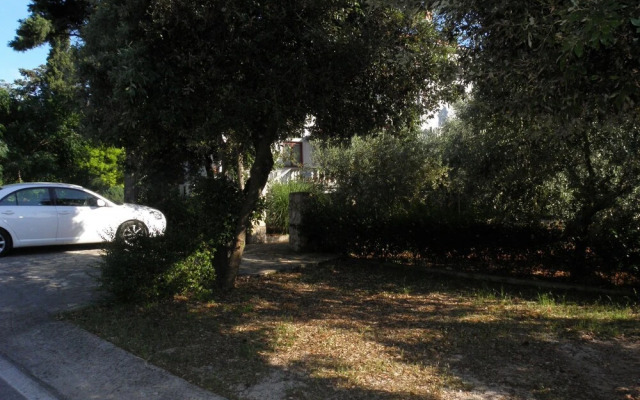 Zlatko - 100m From the sea - A1