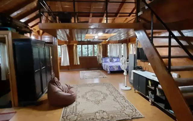 An adorable, spacious, quiet and comfy WFH space
