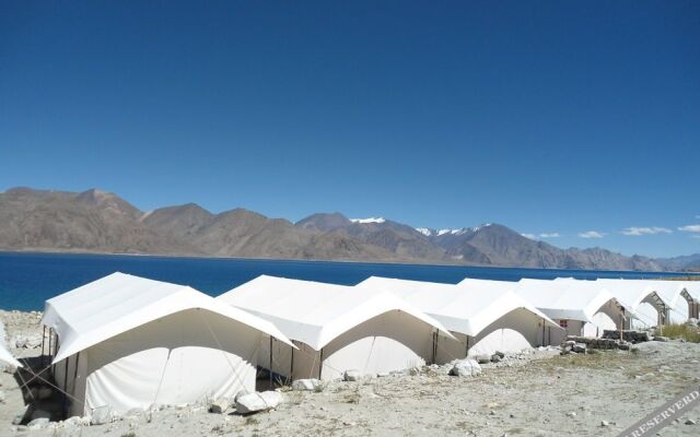 Royal Camp - Pangong