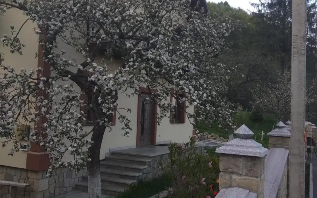 Hostel Yaremche
