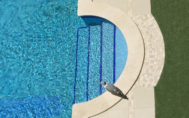 3 min walking to Peneco Beach Albufeira