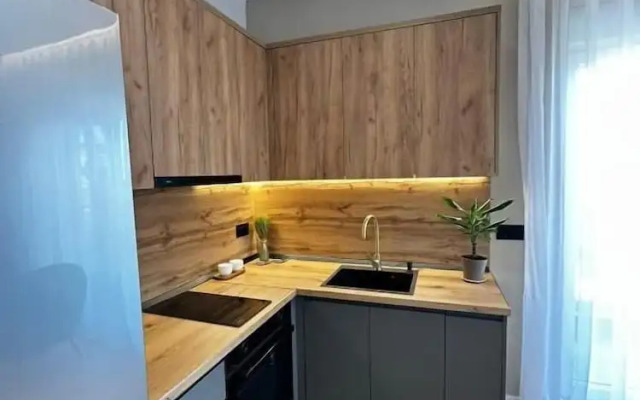 Ideal Apartment Shkoder