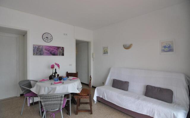 RNET - Sandra II D6 - Roses Santa Margarita