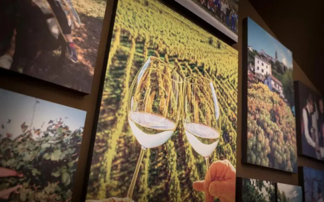 Hotel Vinotel Gospoja