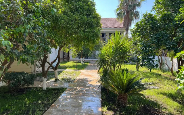 Perast Garden