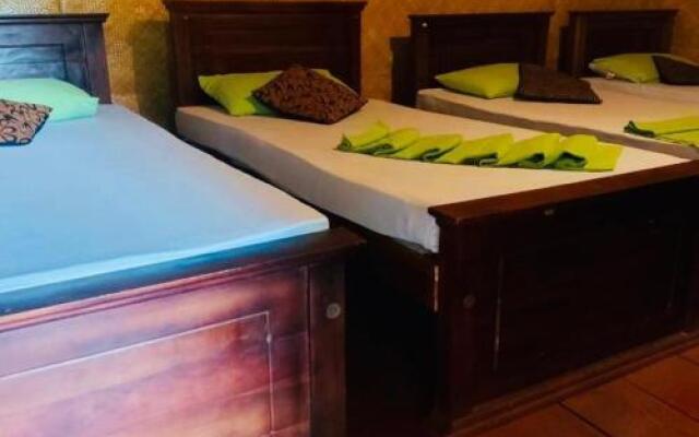 Tree house Hostel Sigiriya