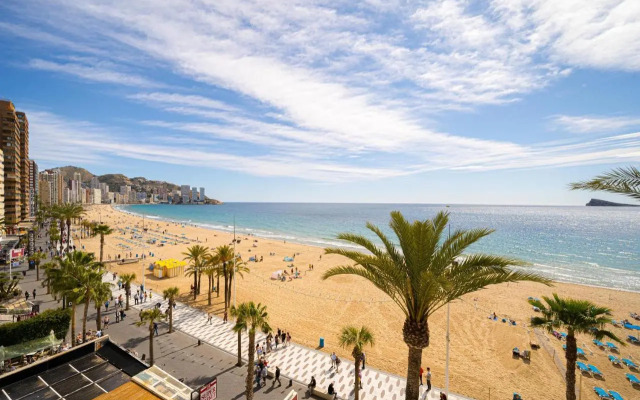 Wg2 Benidorm