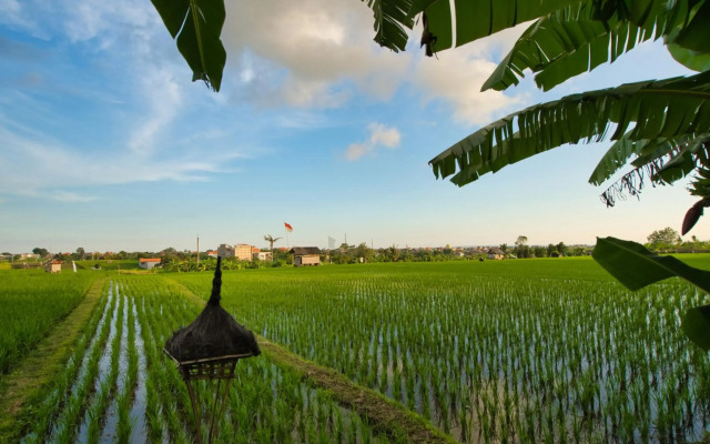 Sotis Villa Canggu