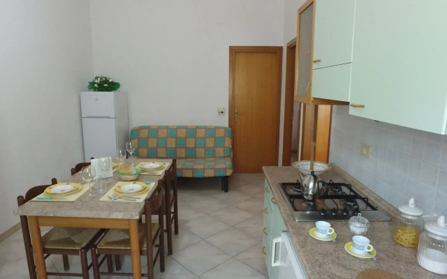 International Camping Village