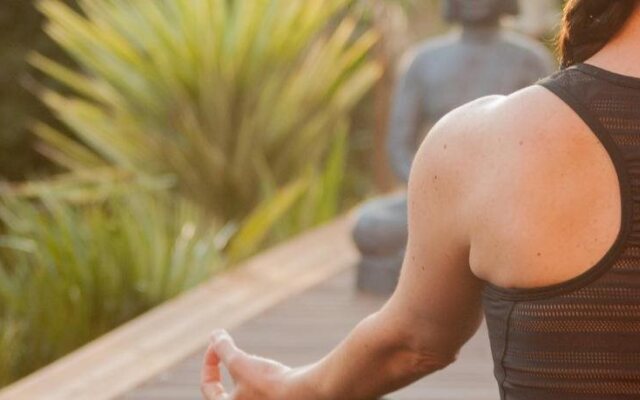 Woodn Sea Lodge - Capbreton