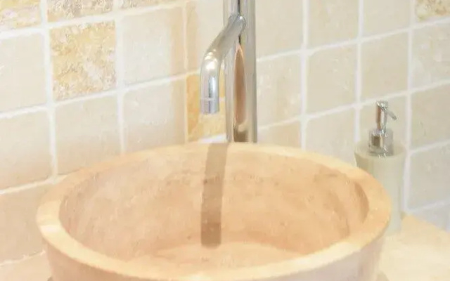 La Figuiere Fontaine de Vaucluse