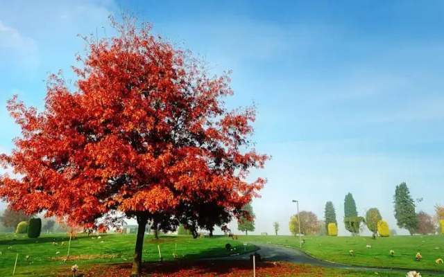 Parc du Bois Joli