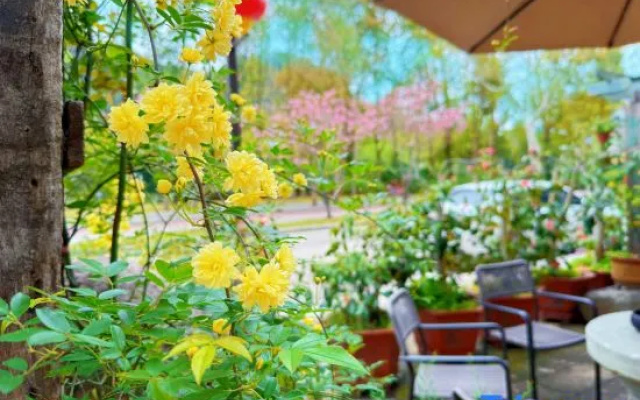 Floral Hotel·Xuanzhiyuan Hotel – Outside – Lishui