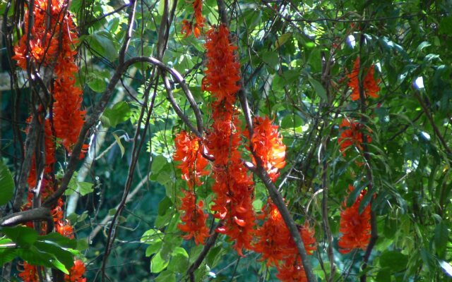 Daintree Valley Haven