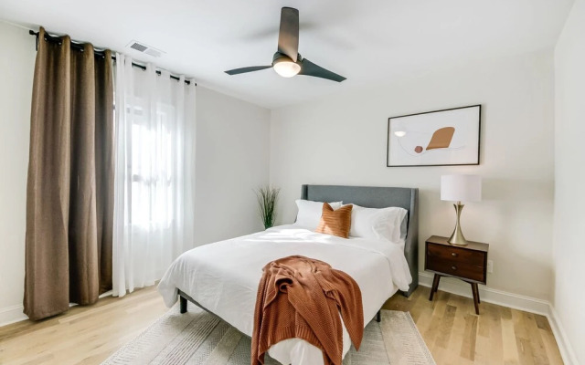 Hidden Gem in the City