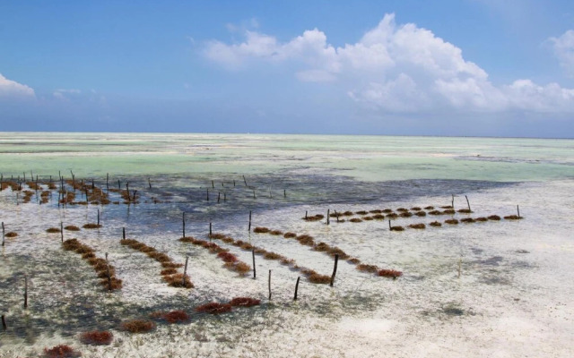 Ujamaa Beach Resort Zanzibar