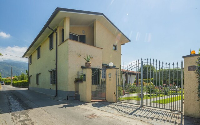 Renza Pietrasanta in Pietrasanta