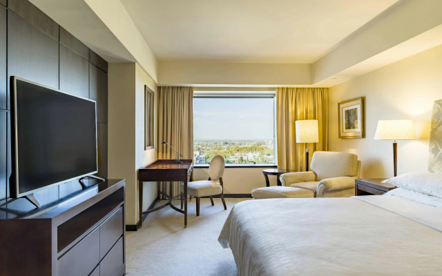 Sheraton Mendoza Hotel - Image 6