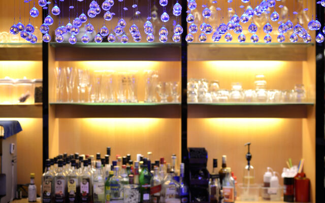 Hotel Modern Puli