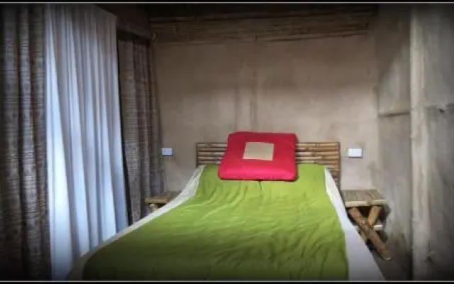 Tieedi Earthy Dwelling