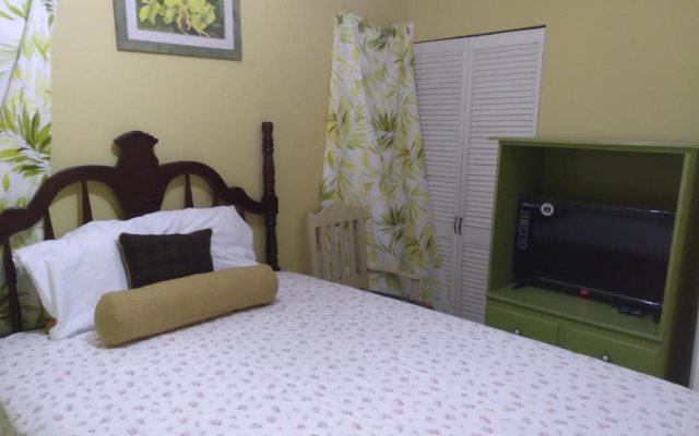 Cozy Deluxe 2BR Condo New Kingston