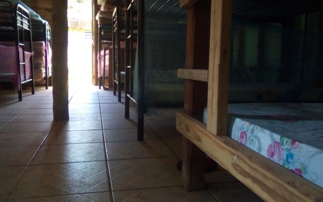 3 Rivers & Rosalie Forest Eco Lodge