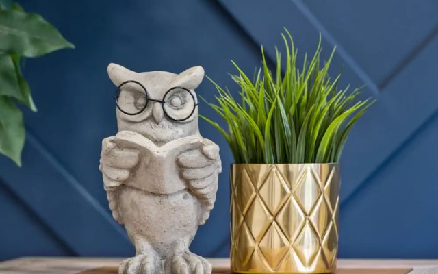 The Owl Petsok 3 Queenbd Firepit 3smarttvs