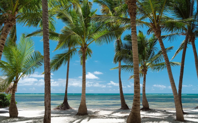 Catalonia Royal Bavaro - Adults Only