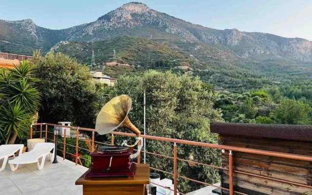 "villa She Ruz "