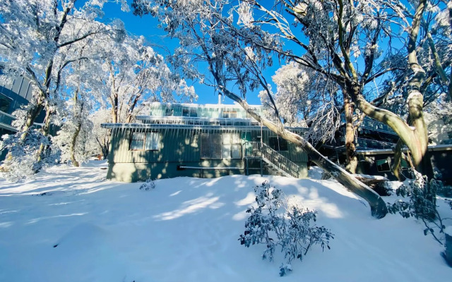 Feathertop Alpine Lodge