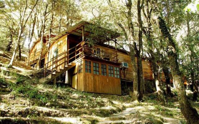 Aamod Resort - Shoghi