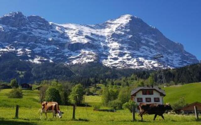 Chalet- Restaurant Bodenwald