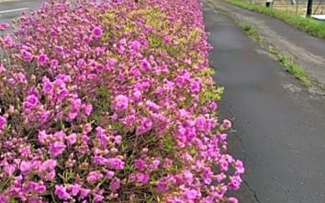 Abashiri - Hotel / Vacation STAY 16180