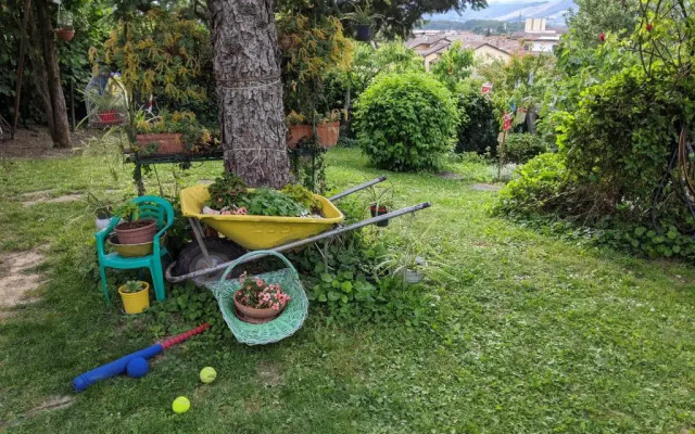 Nel giardino di Oz