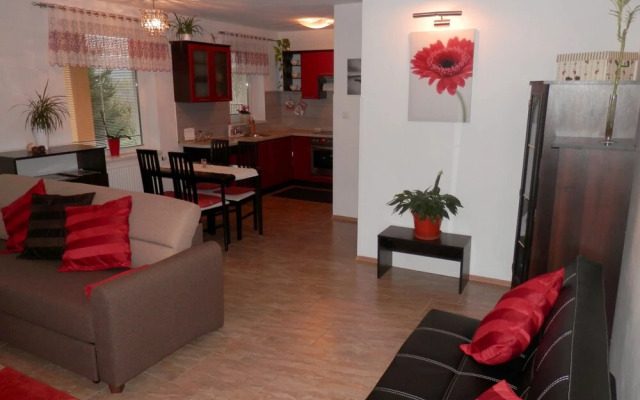 Apartment Boroví