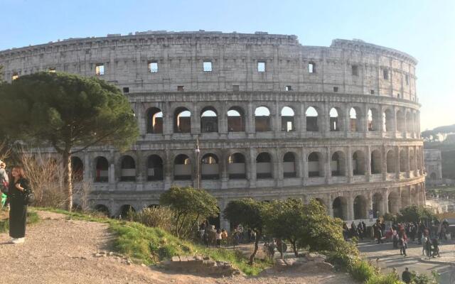 Harmony Apartment Coliseum