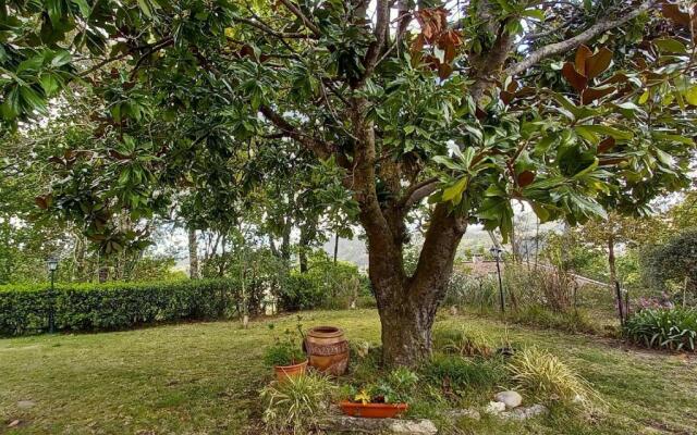 Casa Solda, una casa con piscina en Gondomar