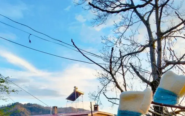 Patik Pansiyon