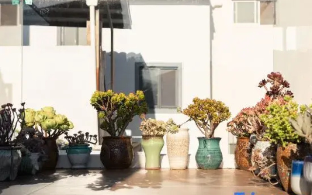 Wei Shan Osmanthus Courtyard Homestay