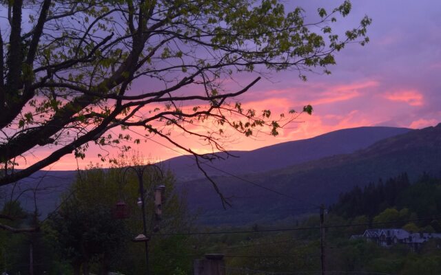 Borthwen B&B