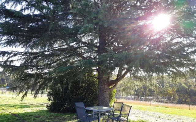 Indigo Vineyard Farmstay – Outside – Everton Upper