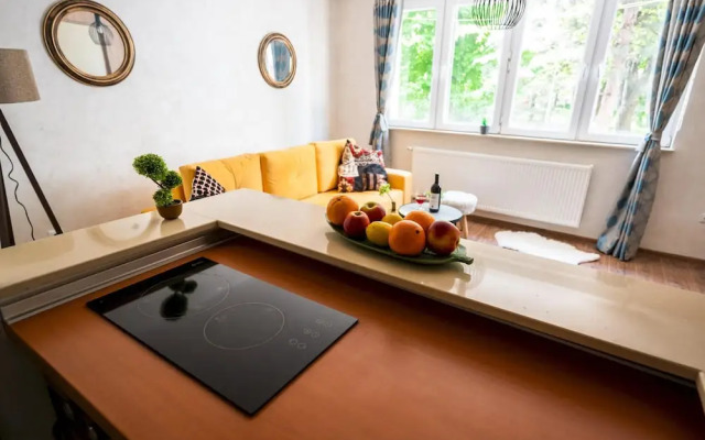 Design Studio Apartment Near the Center