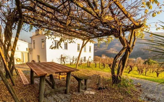 Villa Alzira