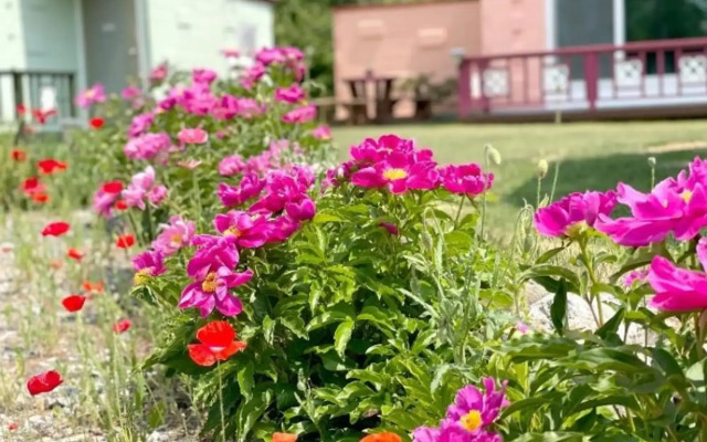 Yangyang Badaae Geolinbeol Pension