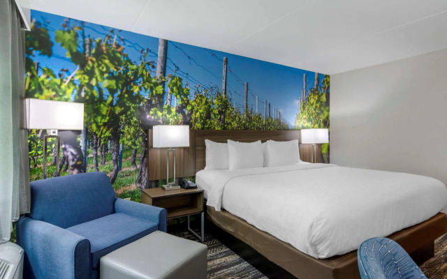 Comfort Inn University