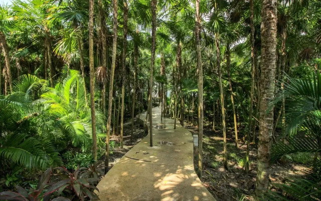 Luxury House Near Akumal Beach by Olahola